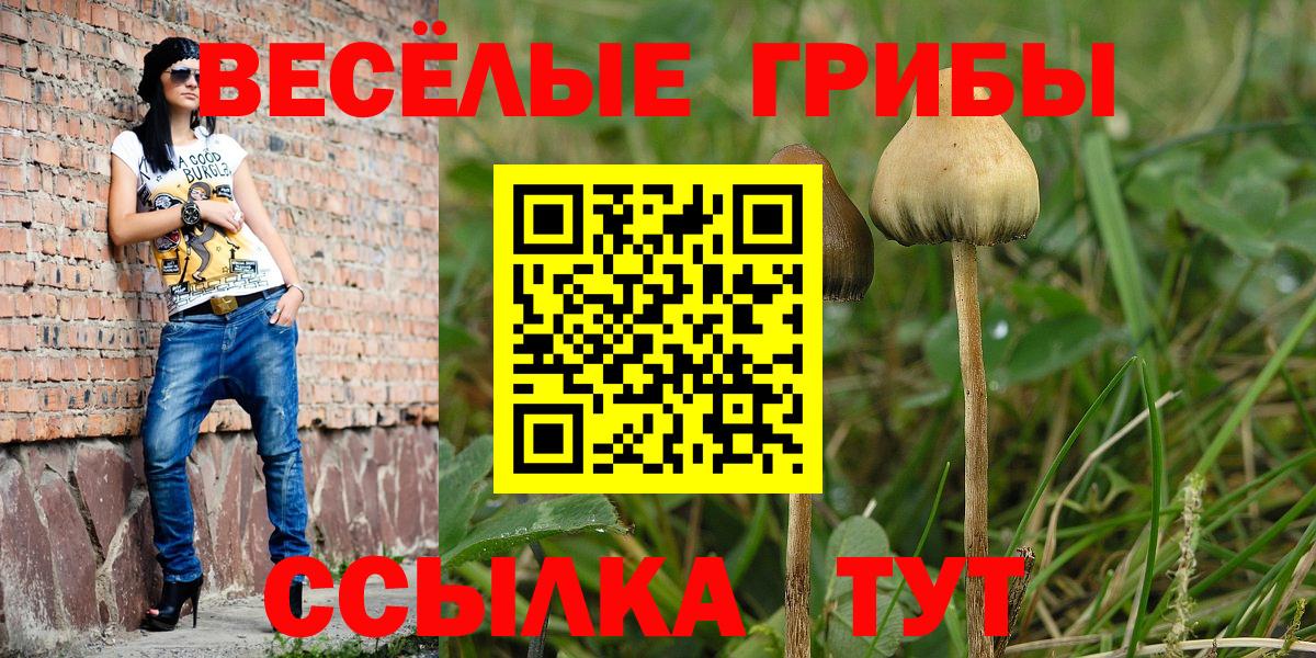 Галлюциногенные грибы мицелий Родники